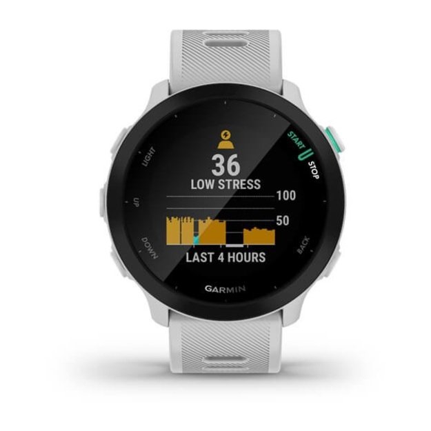 Garmin Forerunner 55 2.64 cm (1.04 ) MIP 42 mm Digital 208 x 208 pixels Black GPS (satellite)