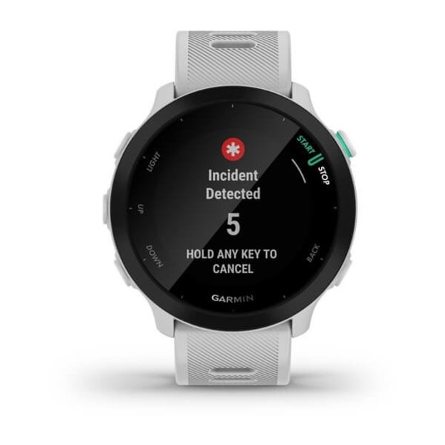 Garmin Forerunner 55 2.64 cm (1.04 ) MIP 42 mm Digital 208 x 208 pixels Black GPS (satellite)
