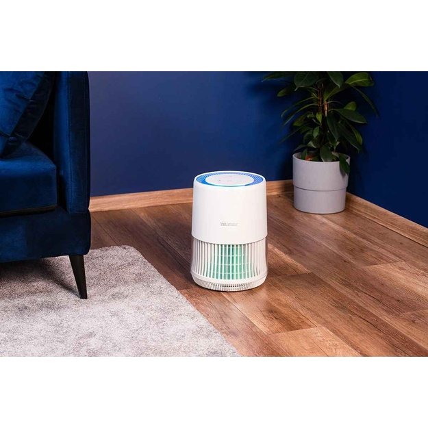Zelmer ZPU5500 Air Purifier