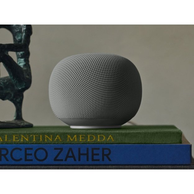 Google Home Grey