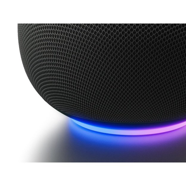 Google Home Grey