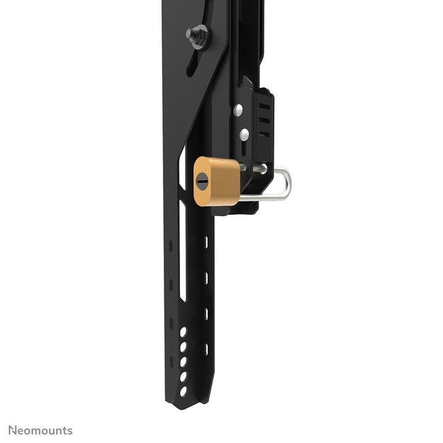 Neomounts Wall Mount LEVEL-750 (XL, 100 kg, tilta)
