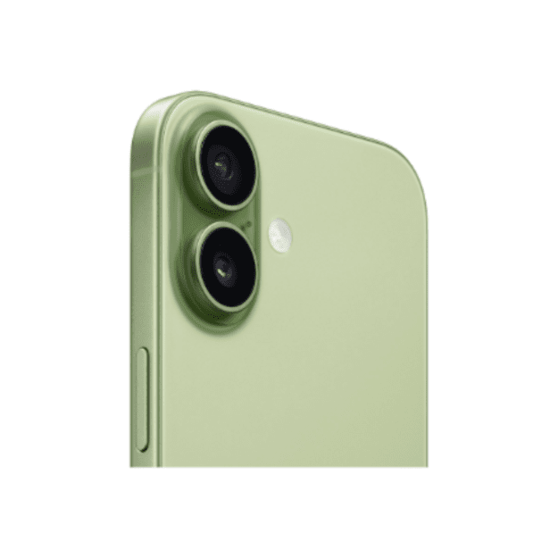 Apple | iPhone 17 | Sage | 6.3   | 2622 x 1206 pixels | OLED | A19 | Internal RAM 8 GB | 256 GB | Dual SIM | Nano SIM | 5G | Mai
