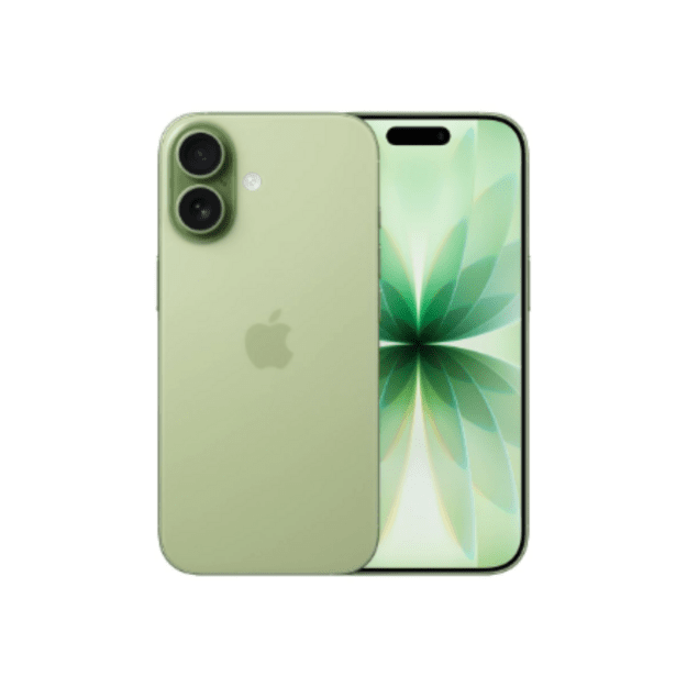 Apple | iPhone 17 | Sage | 6.3   | 2622 x 1206 pixels | OLED | A19 | Internal RAM 8 GB | 256 GB | Dual SIM | Nano SIM | 5G | Mai