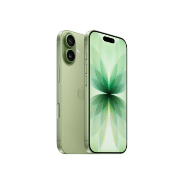 Apple | iPhone 17 | Sage | 6.3   | 2622 x 1206 pixels | OLED | A19 | Internal RAM 8 GB | 256 GB | Dual SIM | Nano SIM | 5G | Mai