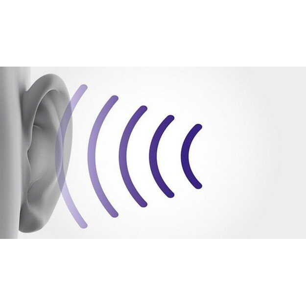 DYSON CINETIC Big Ball Multifloor 2 dulkių siurblys 10