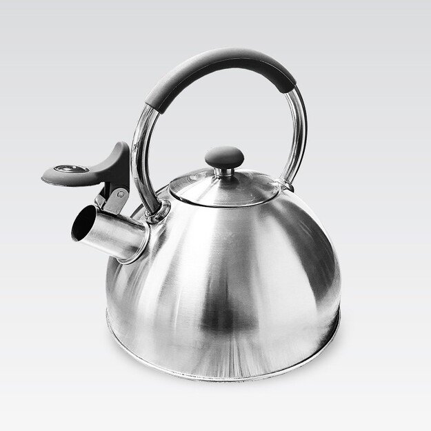 Kettle MAESTRO MR-1323 stainless steel 2.5 l 3