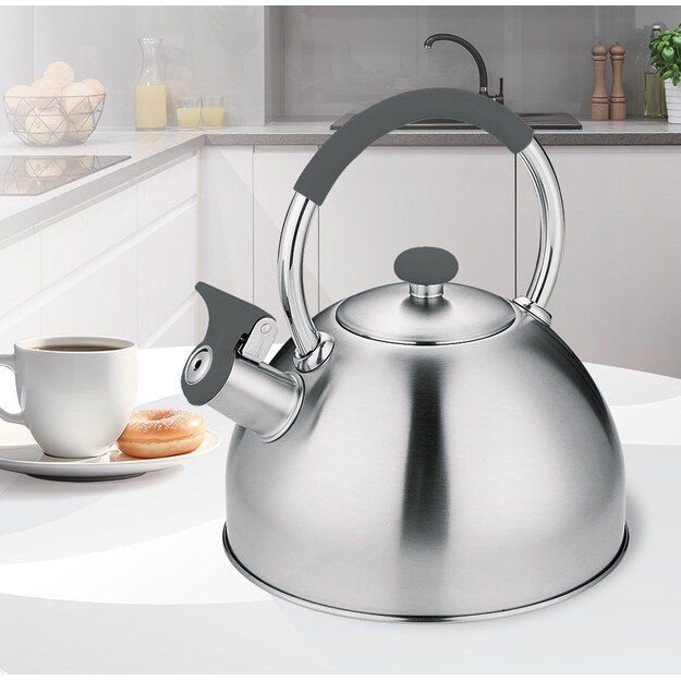 Kettle MAESTRO MR-1323 stainless steel 2.5 l 5
