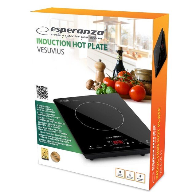 Esperanza EKH009 Black Countertop Zone induction hob 1 zone(s)