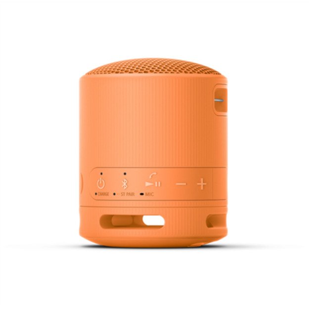 Sony | Speaker | SRS-XB100 | Waterproof | Bluetooth | Gray | Portable | Wireless connection