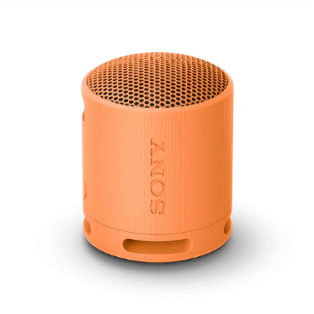 Sony | Speaker | SRS-XB100 | Waterproof | Bluetooth | Gray | Portable | Wireless connection