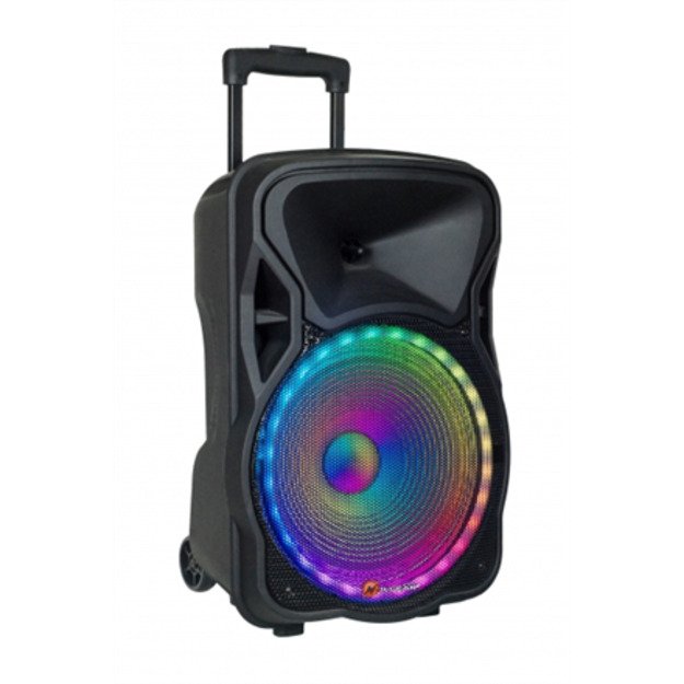 N-Gear | Portable Speaker | The Flash 1205 | 300 W | Bluetooth | Black | Wireless connection