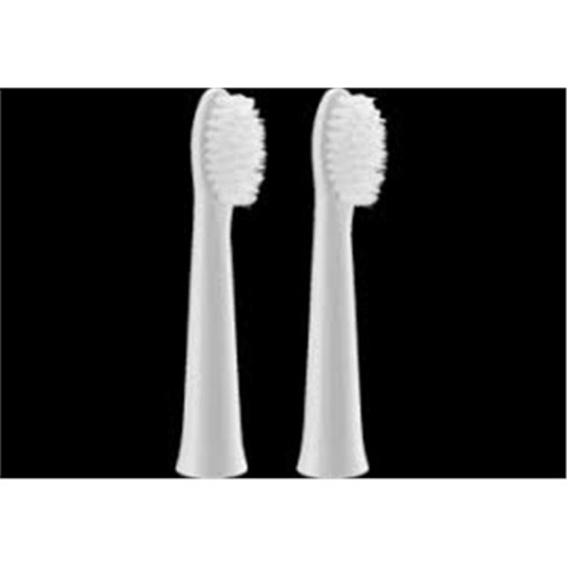 Panasonic | Brush Head | WEW0972W503 | Heads | For adults | Number of brush heads included 2 | Number of teeth brushing modes Do