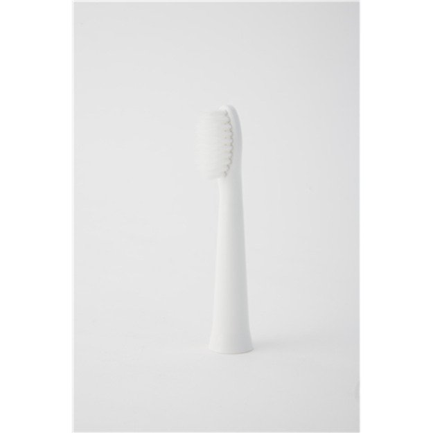 Panasonic | Brush Head | WEW0972W503 | Heads | For adults | Number of brush heads included 2 | Number of teeth brushing modes Do