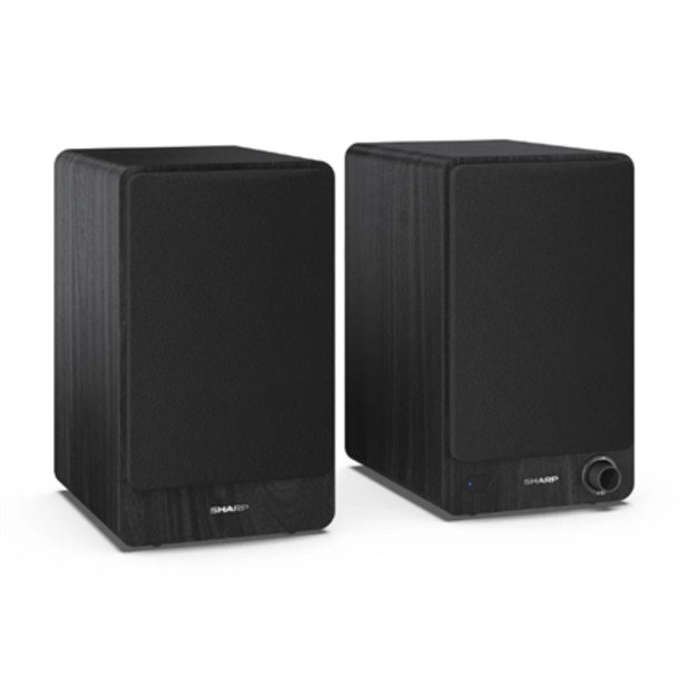 Sharp CP-SS30 Bookshelf Speakers