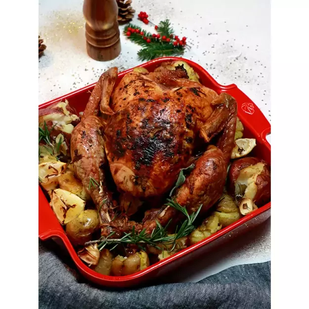 PEUGEOT APPOLIA kvadratinis indas 21 cm rauduonas 1