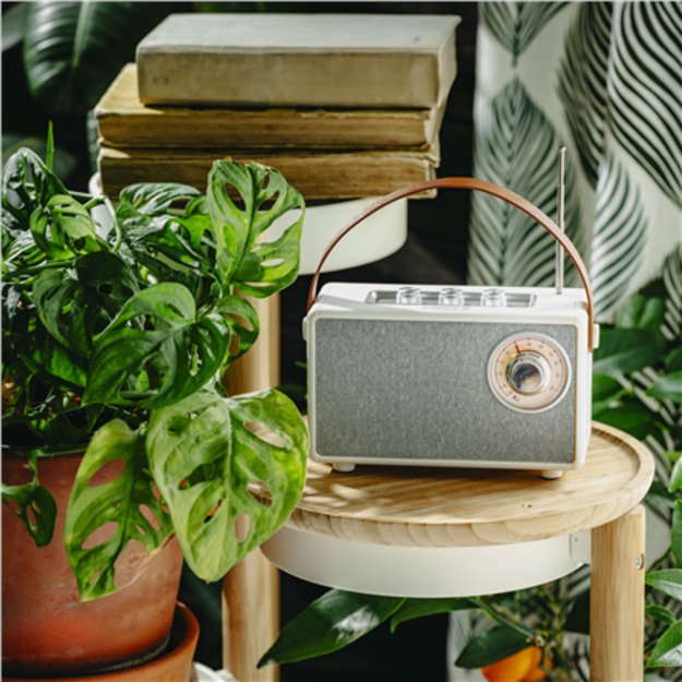 Camry | Speaker with radio | CR 1902 W | White | Wireless connection