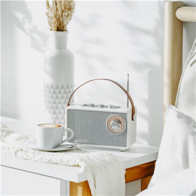 Camry | Speaker with radio | CR 1902 W | White | Wireless connection