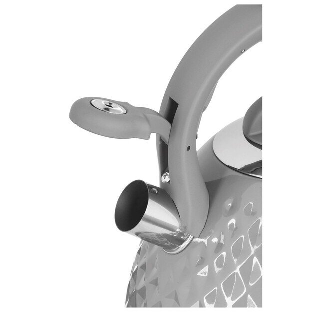 TMC14G PROMIS, Kettle 2.8 l, MARCO, gray gloss 5