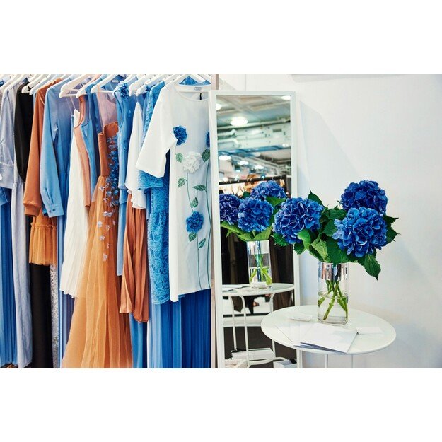 Blaupunkt Iron HSI511 2600W 1