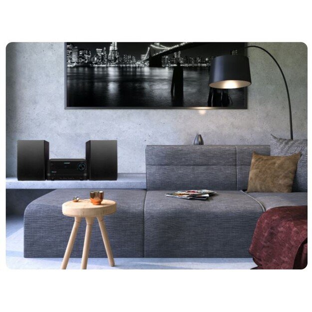 Muzikos centras MS14BT 1