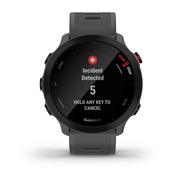 Garmin Forerunner 55 MIP 42 mm Digital 208 x 208 pixels Touchscreen Grey GPS (satellite)