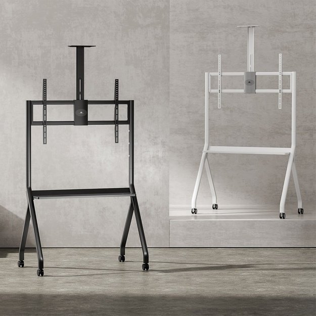 Maclean TV stand / cart, camera shelf, on casters, 55-100 , max load 120kg/10kg shelf, max. VESA 900x600, white, MC-114 W