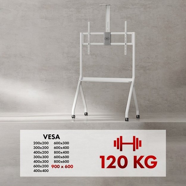 Maclean TV stand / cart, camera shelf, on casters, 55-100 , max load 120kg/10kg shelf, max. VESA 900x600, white, MC-114 W