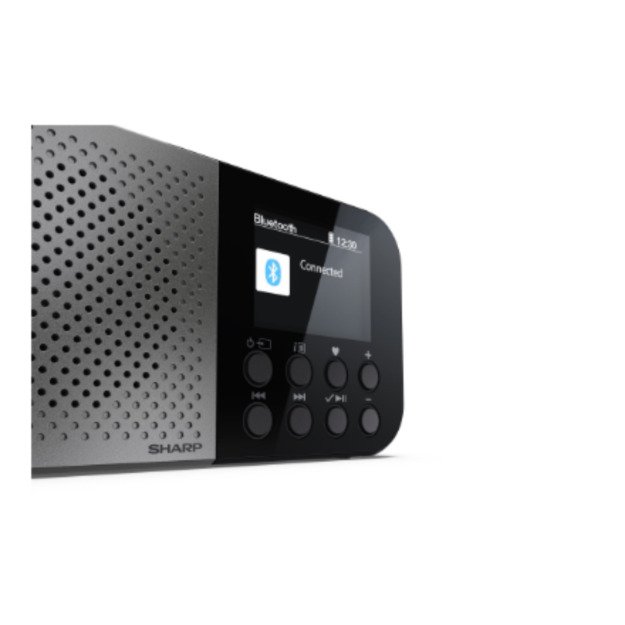 Sharp OSAKA Pocket/Handheld Portable Digital Radio | DR-P520(GY) | Bluetooth 6