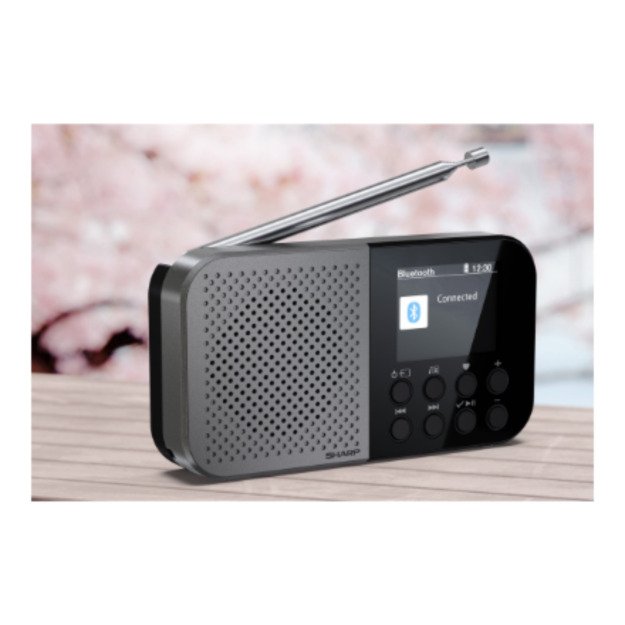 Sharp OSAKA Pocket/Handheld Portable Digital Radio | DR-P520(GY) | Bluetooth 2