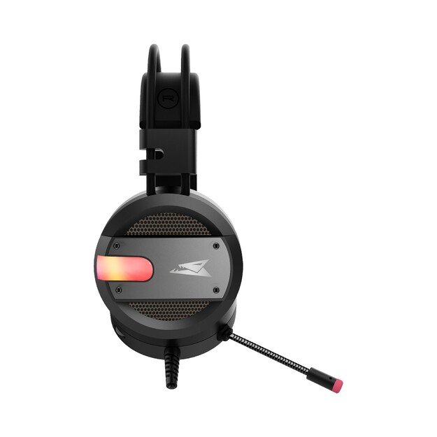 Baracuda BGH-031 Conch Black 5