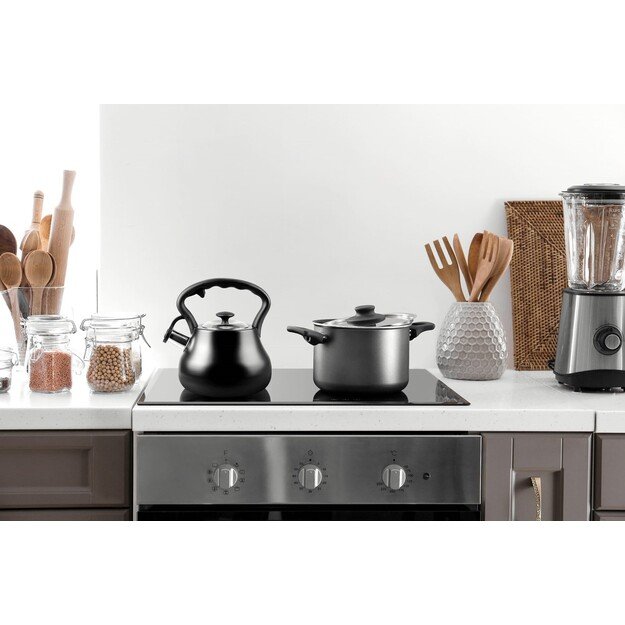 PROMIS Kettle 3.0 L, ANDREA, matt black, black handle 2