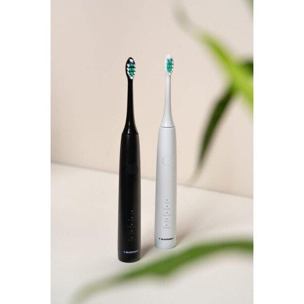 Dantų &scaron;epetėlių rinkinys Blaupunkt DTS201SET 2