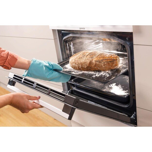 GORENJE GKS5B70CLI 10