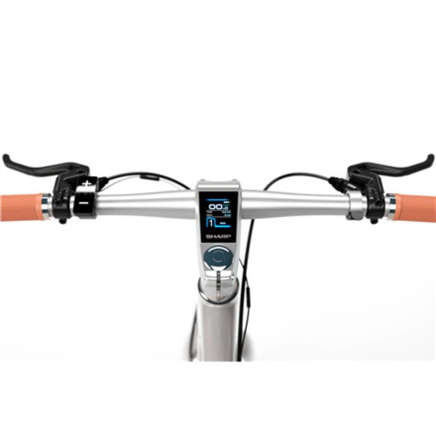 Sharp Hybrid E-Bike | 250 W | 21   | 24 month(s) | Silver