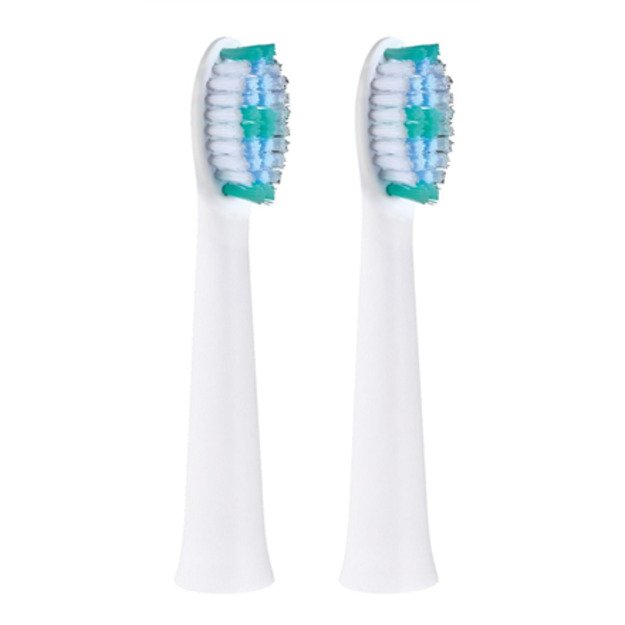 Panasonic | Toothbrush replacement | WEW0974W503 | Heads | For adults | Number of brush heads included 2 | Number of teeth brush