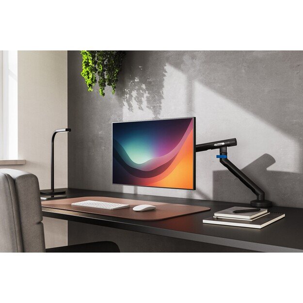 Digitus Single design monitor mount, 35 , 10 kg