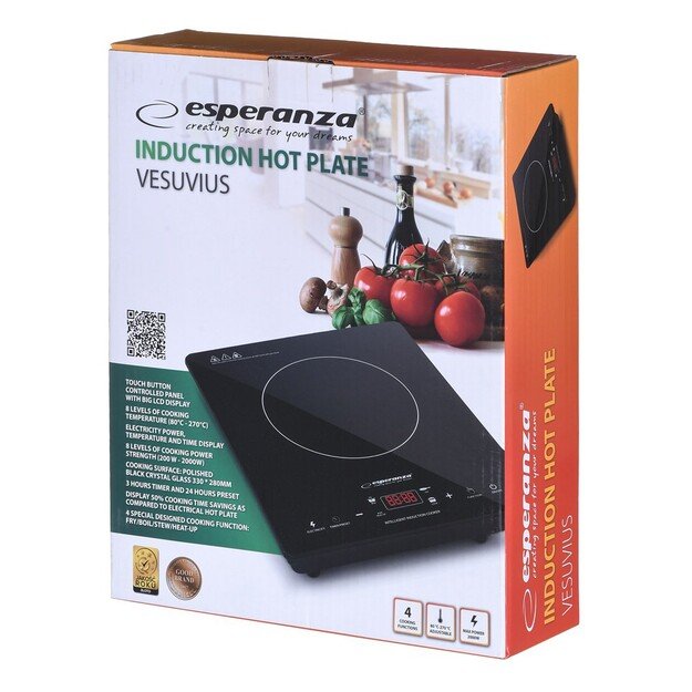 Esperanza EKH009 Black Countertop Zone induction hob 1 zone(s)
