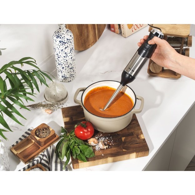 Salter EK6653VDE 4 in  Blender Set