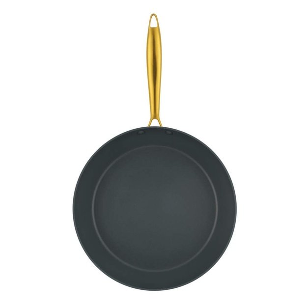 Salter BW14599 Aerotech Professional 28cm Fry Pan