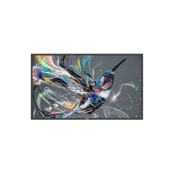 PHILIPS Q-Line 43BDL3511Q   109,2cm(43 ) 18/7/UHD