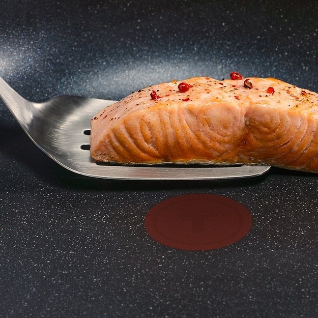 FRYING PAN EXPERTISE PLUS 28CM