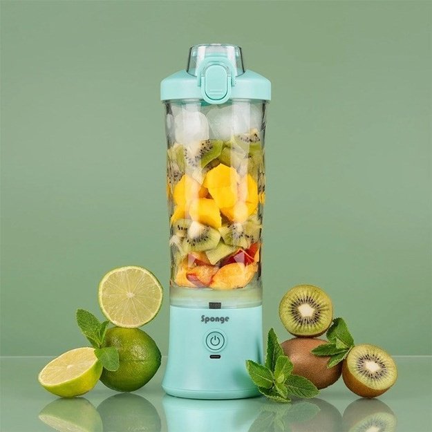 Blender Sponge Mint