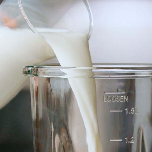 Taurus OPTIMA GO 1500 jug blender