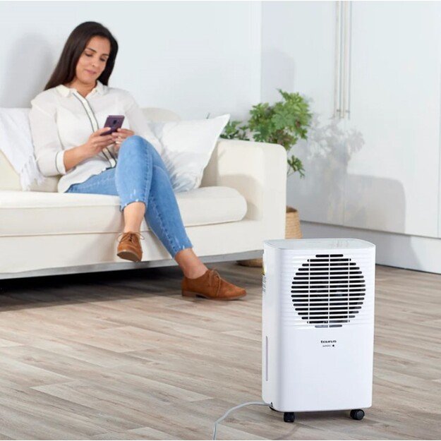 Taurus Pleasant 12l dehumidifier 1