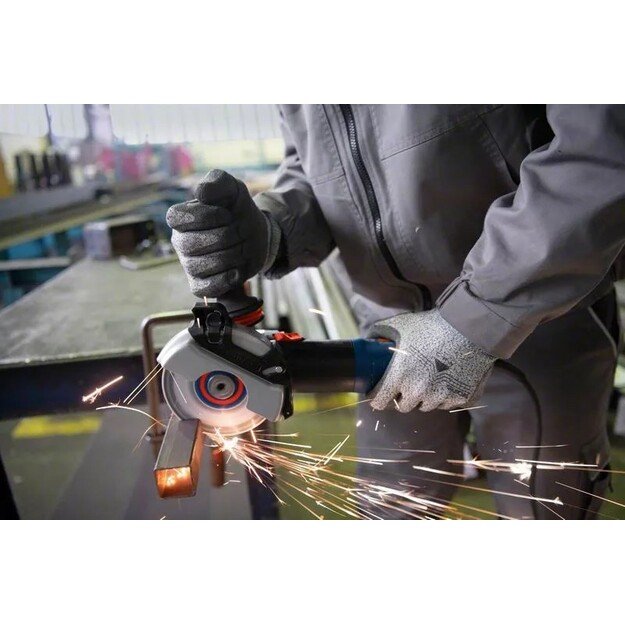 Bosch GWS 17-125 S angle grinder 12.5 cm 11500 RPM 1700 W 2.2 kg 12