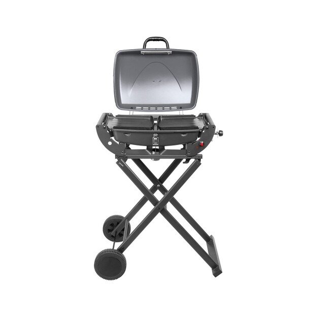 1-burner gas barbecue eesa BBQ 1000