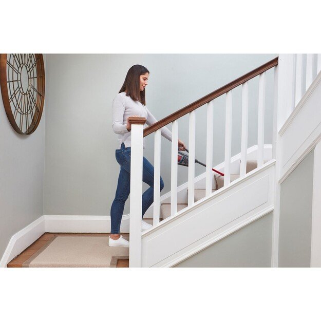 Black & Decker Dustbuster Black, Red Bagless