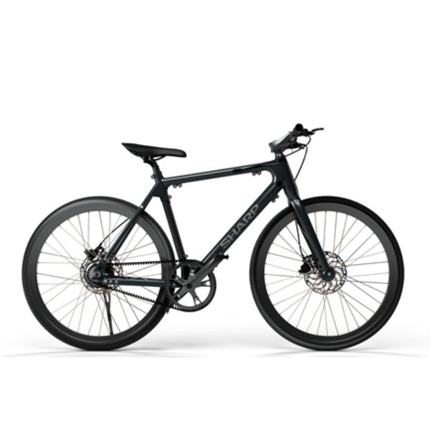 Sharp Hybrid E-Bike | 250 W | 21   | 24 month(s) | Black