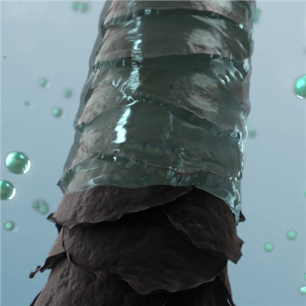 Panasonic Hair Dryer | EH-NE85-K825 | 2500 W | Number of temperature settings 3 | Ionic function | Black 4